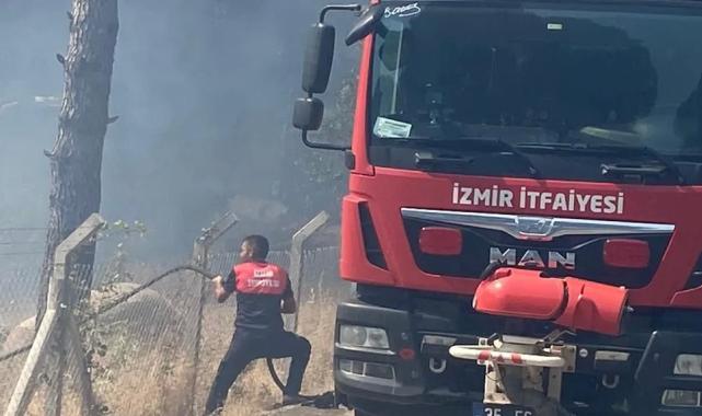 İzmir Bergama’da orman yangınına müdahale ediliyor