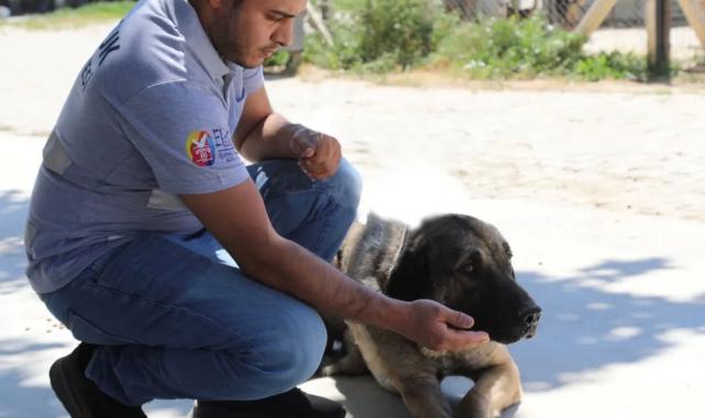 İzmir Efes Selçuk’ta ‘satın alma sahiplen’ çağrısı