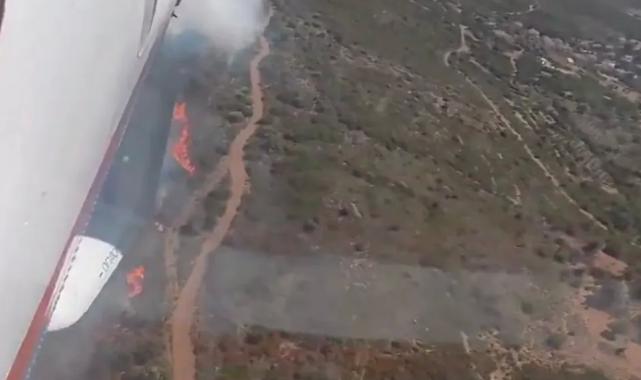 İzmir ve Bursa’da orman yangını… Havadan ve karadan müdahaleler sürüyor