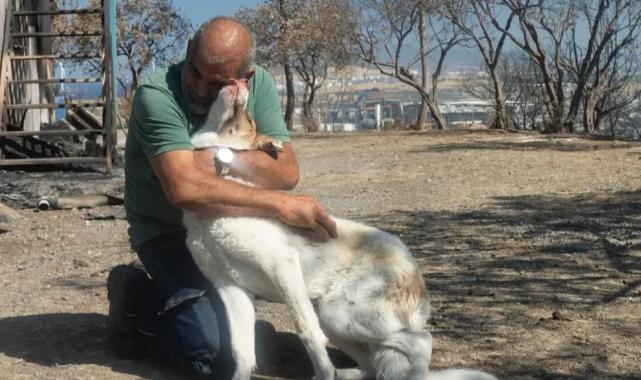 İzmir’de yangından kurtarılan Kaptan’a sıcak yuva