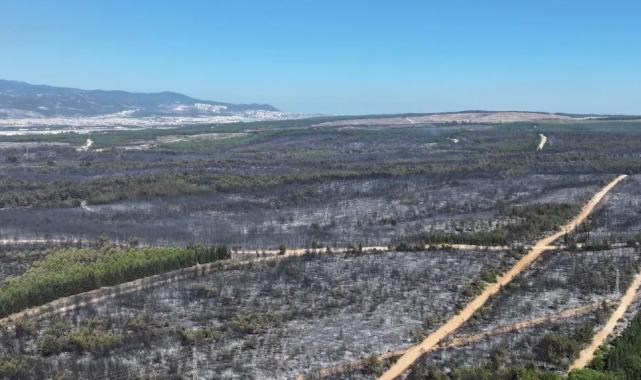 İzmir’de yangınlara karşı olağanüstü yol haritası belirlendi