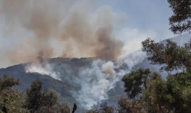 İzmir’in orman yangını risk haritası hazır