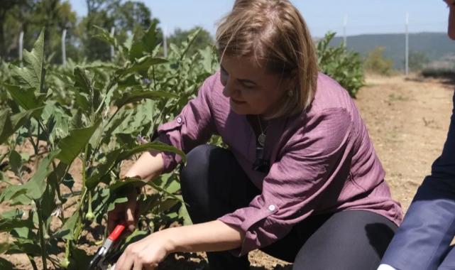İzmit’te toprağın bereketi paylaşılıyor