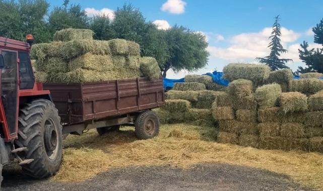 Kayseri Talas’tan üreticiye yem desteği