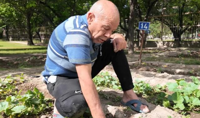 Kayseri’nin Ulu Çınarları’ndan bitki şov