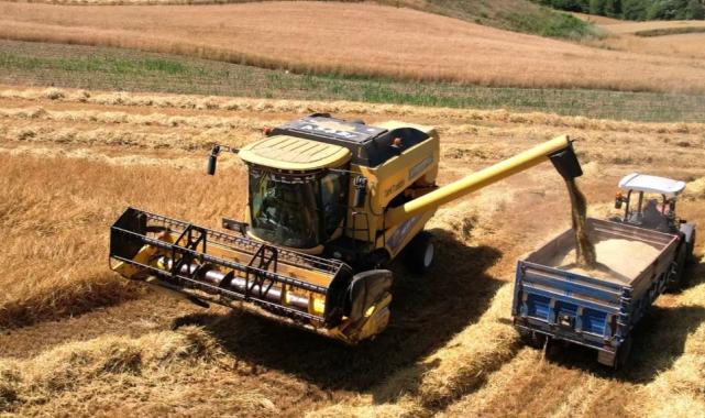 Kocaeli’de 57 bin dekarda hasat sevinci