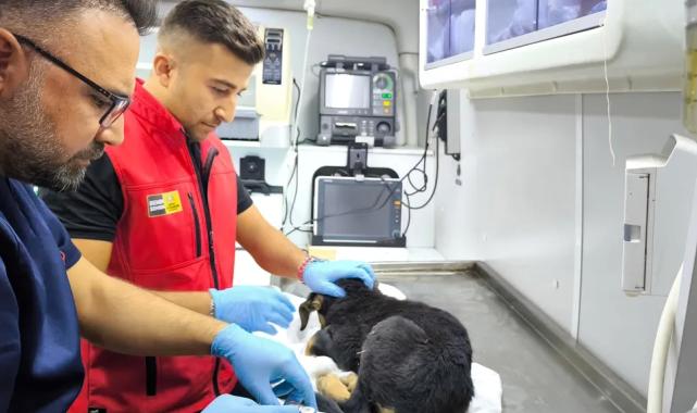 Konya İtfaiyesi’nden yürekleri ısıtan kurtarma operasyonu