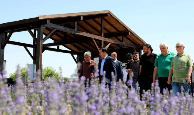 Konya Karatay Lavanta Bahçeleri’nde görsel şölen heyecanı