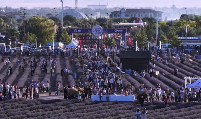 Konya Karatay’ın mor güzelliği rekorla taçlandı