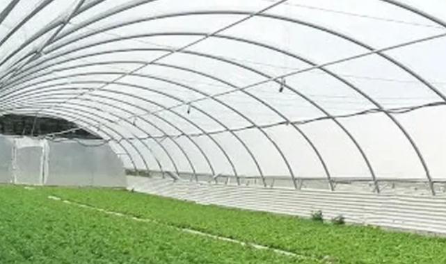 KOP destekli seracılık projesi Selçuklu’da hayata geçiyor