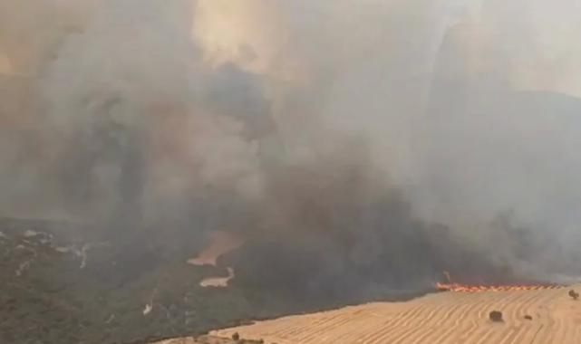 Manisa, Tekirdağ ve Çanakkale’de orman yangınlarına yoğun müdahale