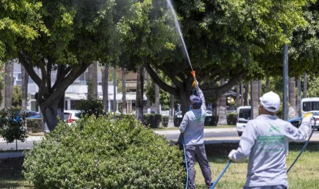 Mersin’de ilaçlama çalışmaları sürüyor