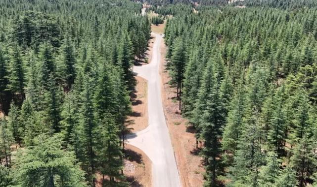 Mersin’in dağ yoluna asfalt dokunuşu