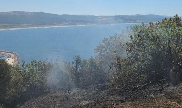 Mudanya kırsalında yangın! Buğday tarlası son anda kurtarıldı