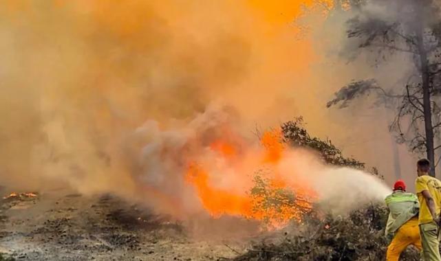 OGM: 86 milyonun dikkati şart!