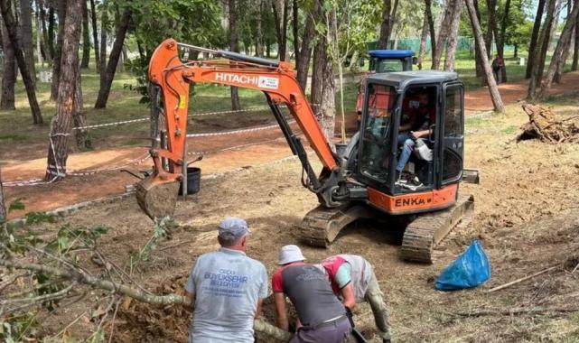 Ordu Ünye Çamlık’ta doğa yenileniyor