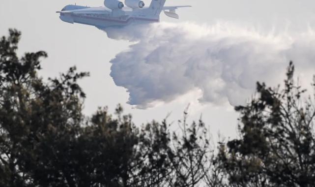 Orman yangınlarında adli soruşturma ve tutuklamalar sürüyor