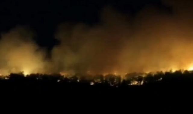 Orman’dan 22 Temmuz raporu: Müdahale edilen 54 yangından 51’i kontrol altında