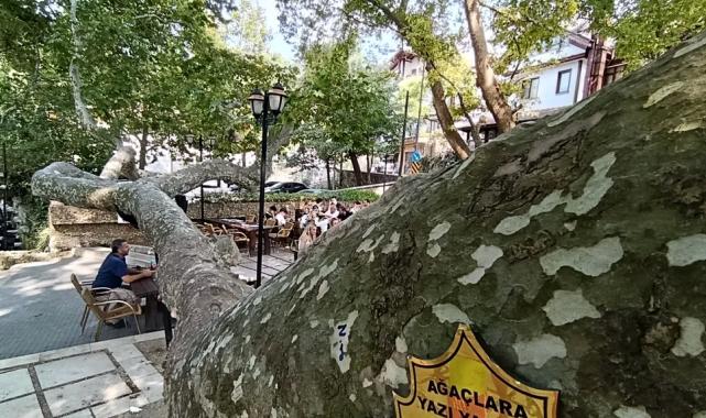 Osmanlı’dan günümüze… Bursa İnkaya’da görkemli gölge