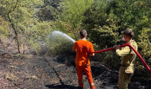 Sakarya Adapazarı’ndaki orman yangını kontrol altında