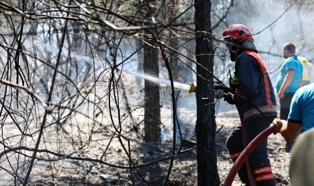 Sakarya İtfaiyesi yangın bölgelerinde tüm gücüyle müdahalede