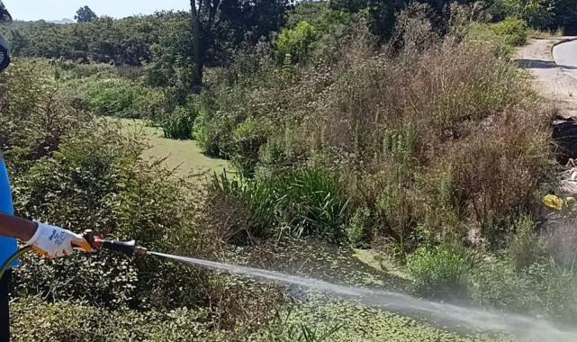 Sakarya’da dere yatakları, kanallar, bataklıklar ve göletlere tek tek ulaşıyorlar