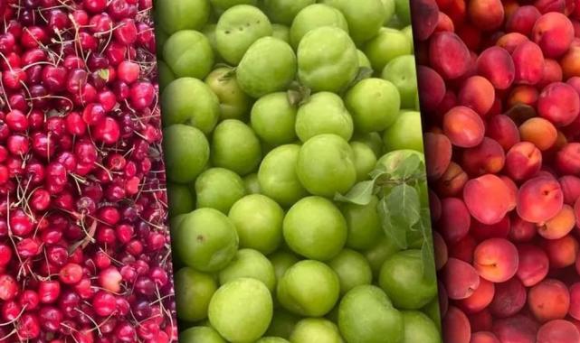 Sert ve yumuşak çekirdekli meyveler zirvede