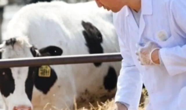 Tarım-GFE’de Mayıs verileri açıklandı… Veteriner harcamaları yine başı çekiyor