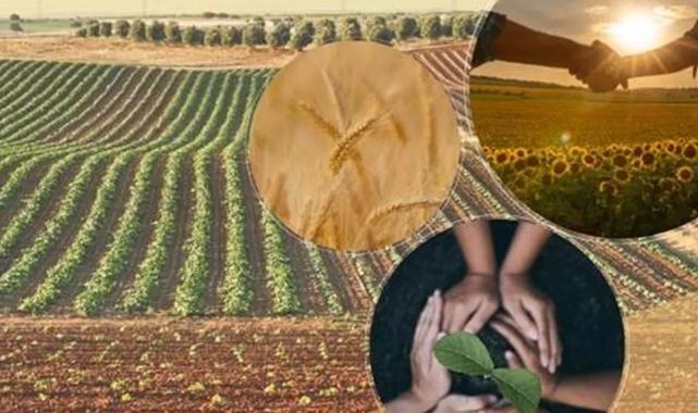 Tarımsal örgütlere yönetmelik ayarı