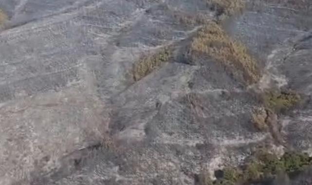 Tekirdağ Şarköy’deki yangın kontrol altında