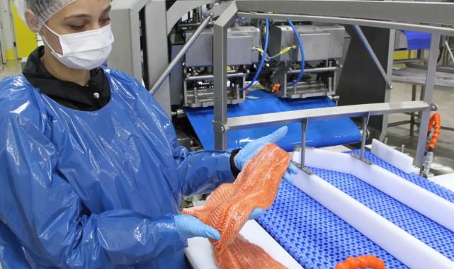 Türk somonu ihracatı rekor kırıyor… 2035 hedefi 1 milyar dolar