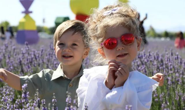 Türkiye’nin en büyük lavanta bahçesinde renk cümbüşü