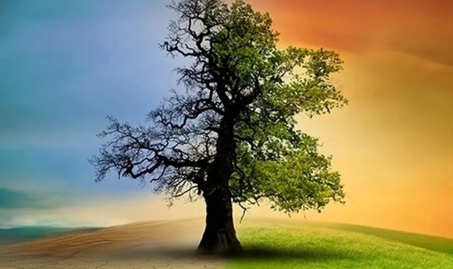 Türkiye’nin ilk İklim Kanunu TBMM’de yasalaştı