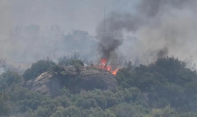 Üç günde 10 bin hektar kül oldu