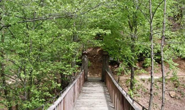 Yalova Valiliği ikinci bir emre kadar yasakladı!