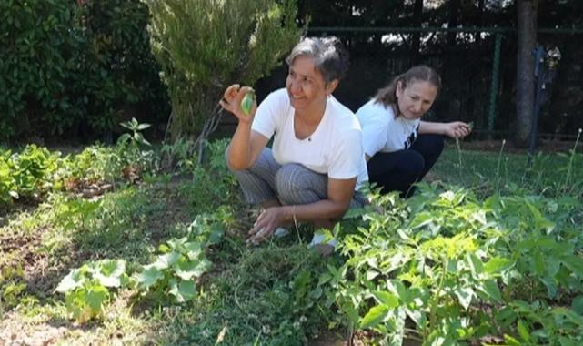 Altın Yıllar Yaşam Merkezi’nde hasat zamanı