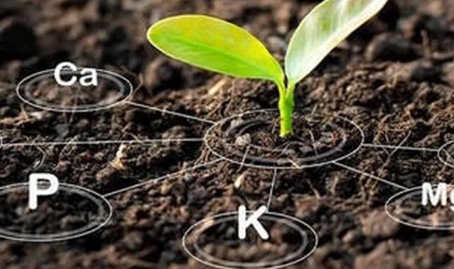 Antalya’da üreticiye tarım eğitimleri başlıyor