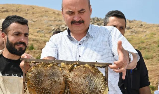 Batman Sason’da bal hasadı coşkusu