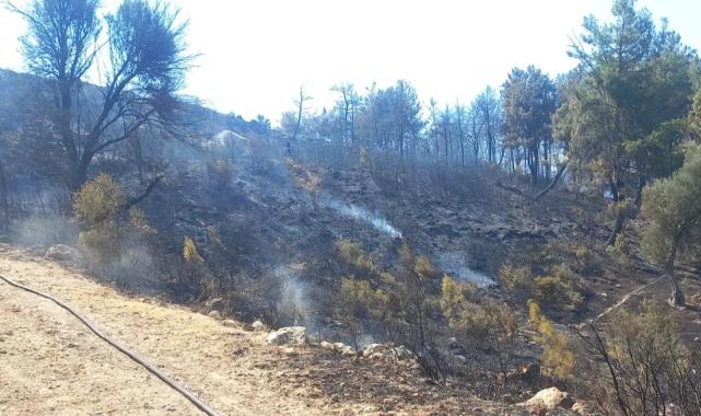 Buca ve Aliağa’da çıkan yangınlar kontrol altında