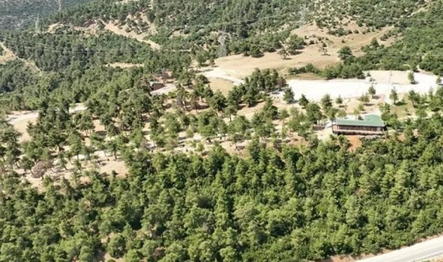 Bursa Gürsu’nun mesire alanı küllerden temizlendi