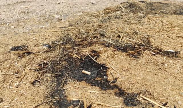 Bursa Yenişehir’de orman yangını son anda önledi