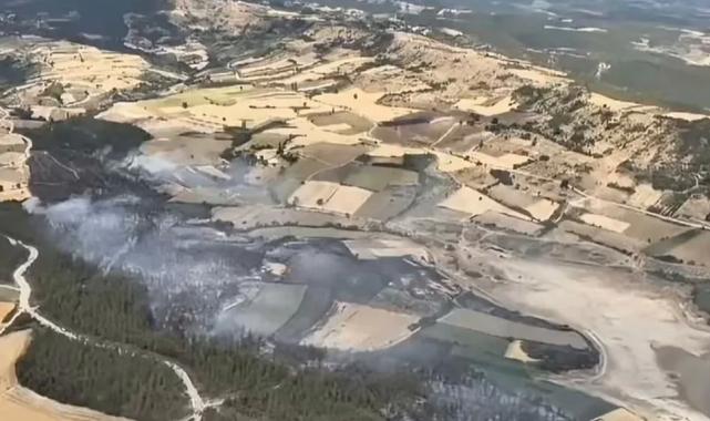 Bursa Yenişehir’deki orman yangını kontrol altındd