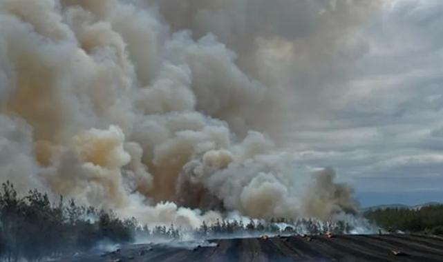 Bursa Yenişeir’de anız ve orman yangını