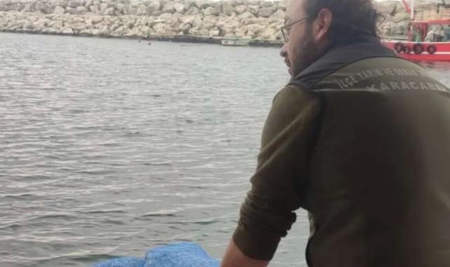 Bursa’da avcılığa açık kum şırlanı ve kara midye alanları belirlendi