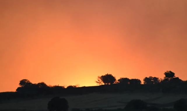 Çanakkale Dardanos yangını büyük ölçüde kontrol altına alındı