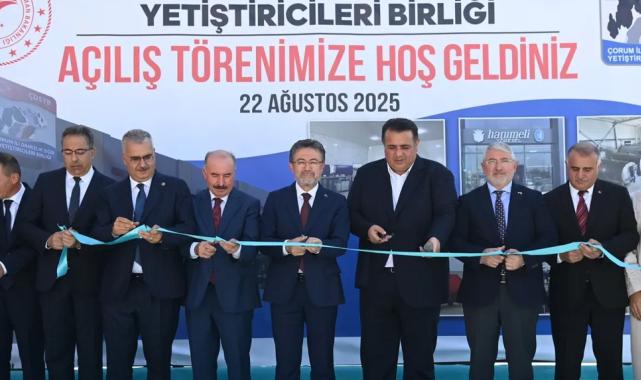 Çorum’da hayvancılığa güçlü destek