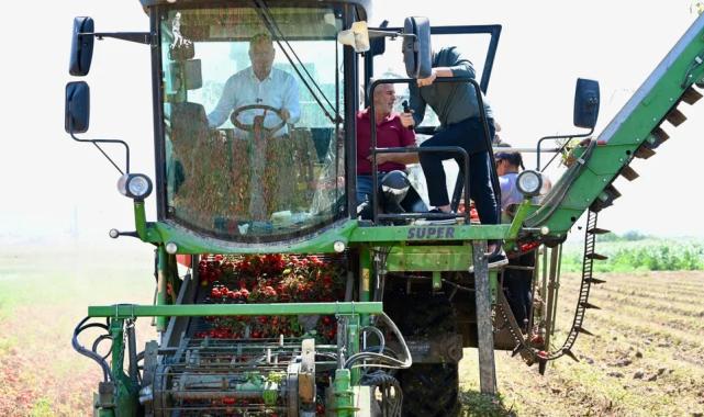 Domates deposu ‘verimli ova’ Karacabey’de hasat sürüyor