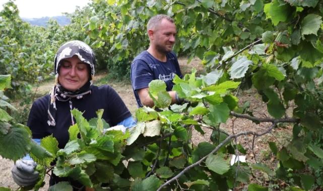 Fındık ekmek kapısı oluyor