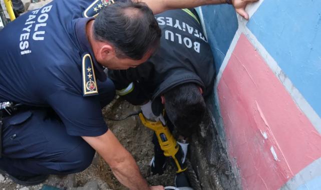 İtfaiyeden kedi kurtarma operasyonu