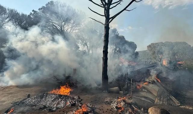 İzmir İtfaiyesi Bergama’da alevlerle mücadele ediyor